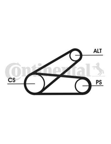 CONTI 6PK873T1 MVB Contitech 6PK873ELASTT1