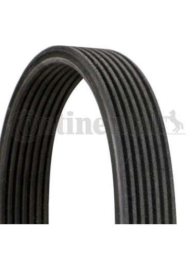 CONTI ACANALADA Contitech 7DPK2569