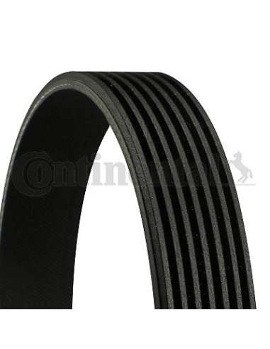 CONTI ACANALADA Contitech 7PK2842