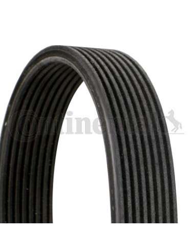 CONTI ACANALADA Contitech 8DPK1833