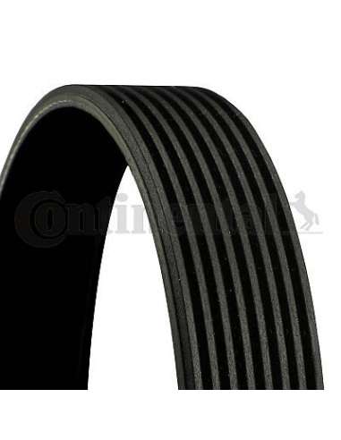 CONTI ACANALADA Contitech 8PK1115