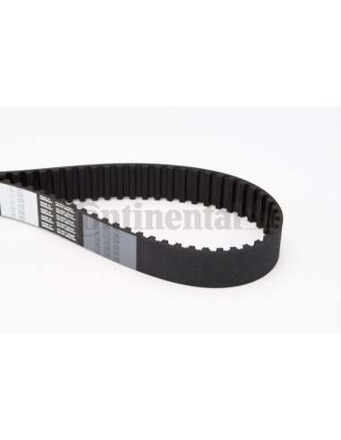 CONTI DISTRIBUCION Contitech CT1038