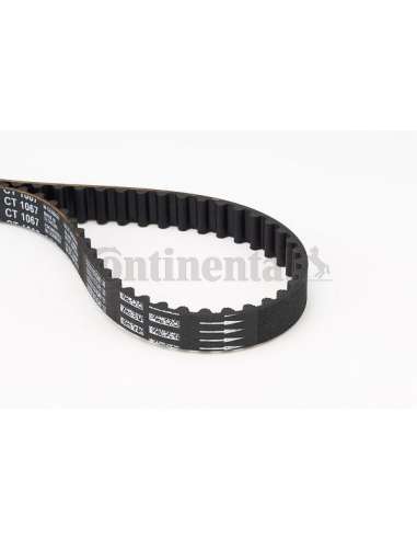 CONTI DISTRIBUCION Contitech CT1067