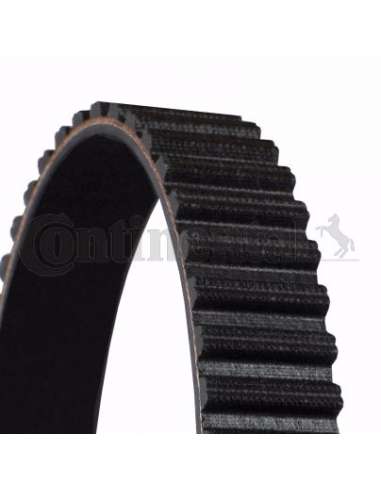 CONTI DISTRIBUCION Contitech CT1104