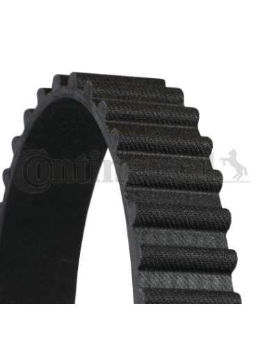 CONTI DISTRIBUCION Contitech CT1153