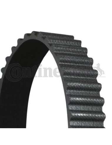 CONTI DISTRIBUCION Contitech CT1156