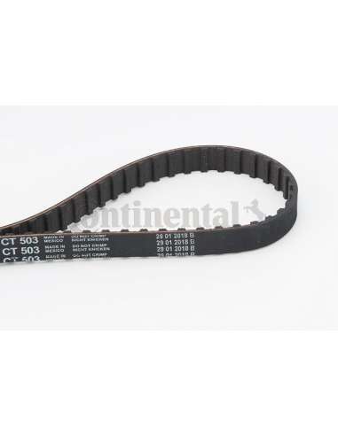 CONTI DISTRIBUCION Contitech CT503