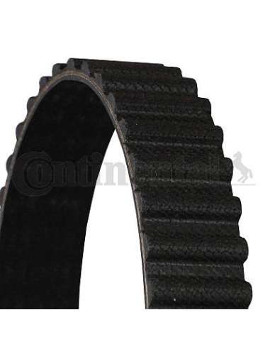 CONTI DISTRIBUCION Contitech CT511