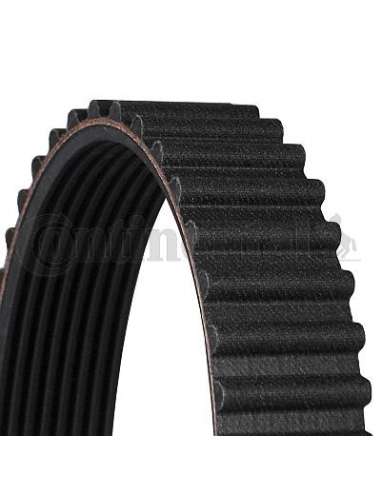  EXTINGUIDA CONTI Synchrobelt C orrea de D Contitech CT547