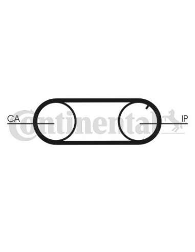 CONTI DISTRIBUCION Contitech CT641