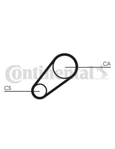 CONTI DISTRIBUCION Contitech CT648