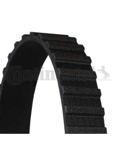 CONTI DISTRIBUCION Contitech CT651