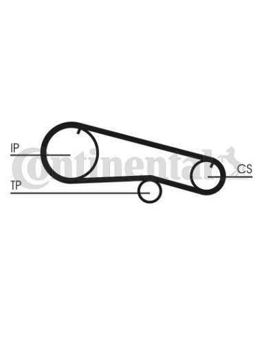 CONTI DISTRIBUCION Contitech CT668