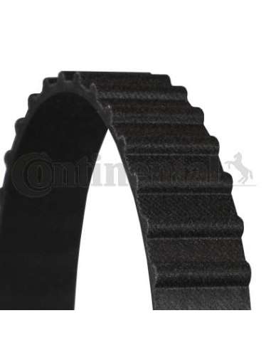 CONTI DISTRIBUCION Contitech CT687