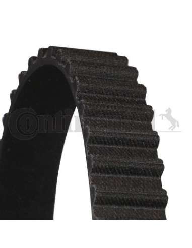 CONTI DISTRIBUCION Contitech CT688