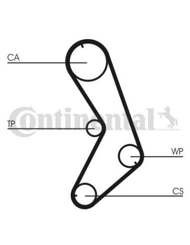 CONTI Synchrobelt Correa de D Contitech CT741