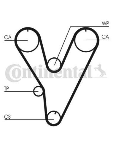 CONTI DISTRIBUCION Contitech CT805