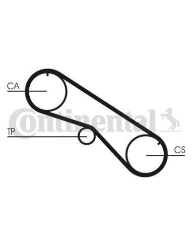 CONTI DISTRIBUCION Contitech CT818