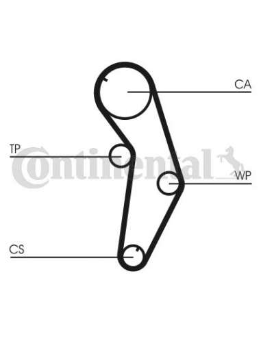 CONTI DISTRIBUCION Contitech CT821