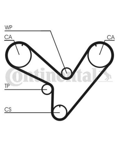 CONTI Synchrobelt Correa de D Contitech CT893