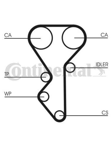 CONTI DISTRIBUCION Contitech CT955