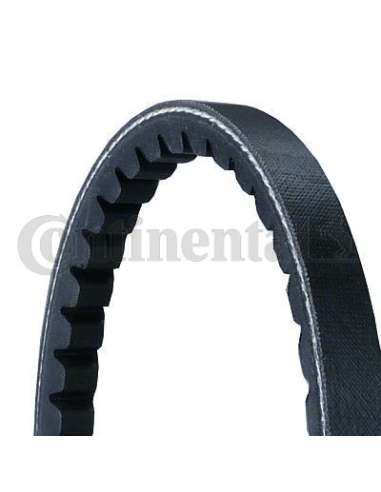 TRAPECIAL CONTI Contitech XPA982P