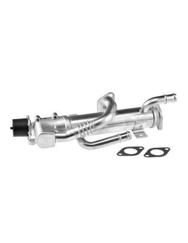 Válvula AGR Csv CEF5134C - Elemento enfriador BEHR HELLA SERVICE  PREMIUM LINE 