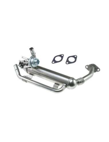 Elemento enfriador, reciclaje gases escape Csv CGR5141R - Elemento enfriador BEHR HELLA SERVICE  PREMIUM LINE 