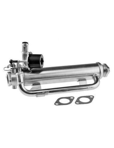 Elemento enfriador, reciclaje gases escape Csv CGR5224C - Elemento enfriador BEHR HELLA SERVICE  PREMIUM LINE 