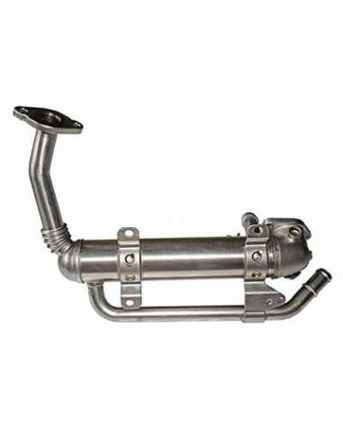 Elemento enfriador, reciclaje gases escape Csv CGR5276 - Elemento Enfriador BEHR HELLA SERVICE  PREMIUM LINE 
