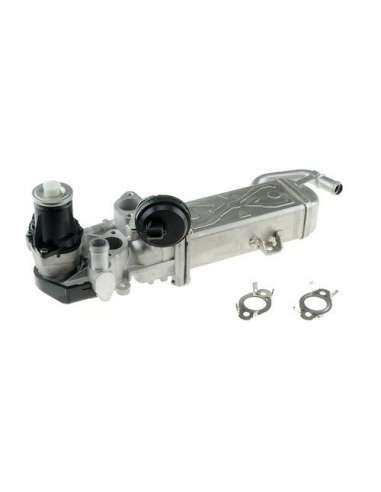 Elemento enfriador, reciclaje gases escape Csv CGR5320 - Elemento enfriador BEHR HELLA SERVICE  PREMIUM LINE 