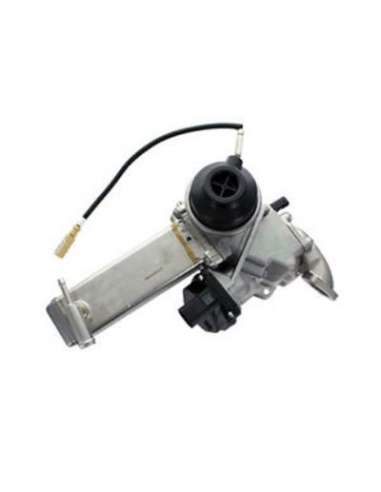 Elemento enfriador, reciclaje gases escape Csv CGR5281 - Elemento enfriador BEHR HELLA SERVICE  PREMIUM LINE 