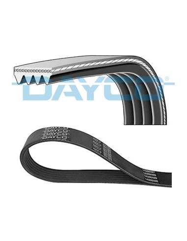 Correa trapecial poli V Dayco 4PK872 - PK AUTO DAYCO