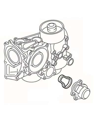 Junta, termostato refrigeración aceite Elring 339.870 - MB Pieza de goma/tubo de agua - coolXpert