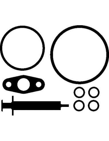 Juego de montaje, turbocompresor Elring 736.520 - BMW Juego compresor