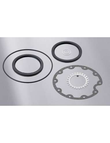 Juego de juntas, buje de rueda Tras. Elring 752.495 - MAN Juego ponte delantero/trasero Anti-Roll-Kit