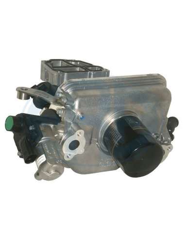 Elemento enfriador, reciclaje gases escape Era 500015 - Elemento enfriador, reciclaje gases escape Made in Italy - OE Eq...